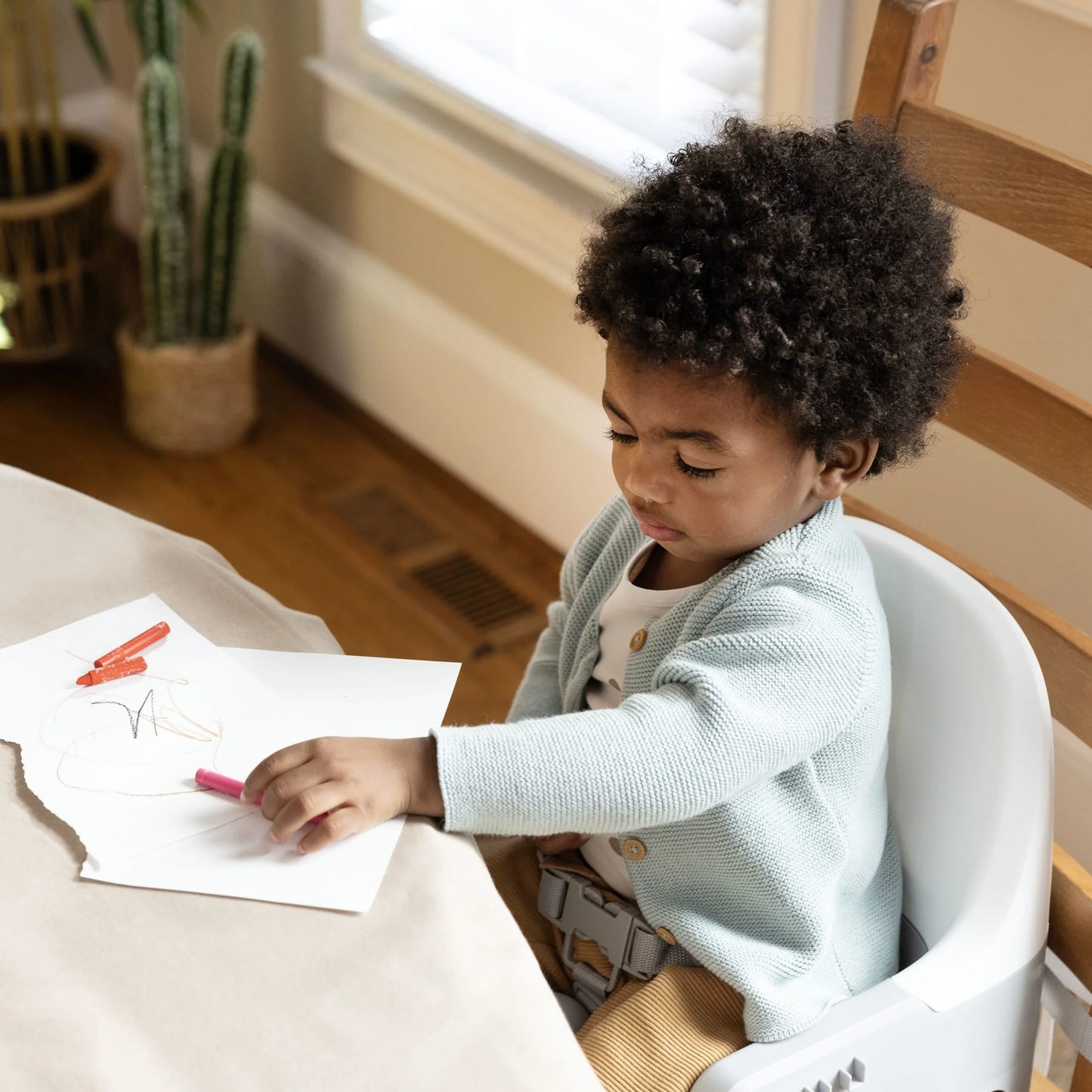 Deluxe Learn-To-Dine Feeding Seat, Ages 6 Months to 3 Years, Orange and Teal